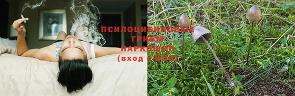 ALPHA-PVP Богданович
