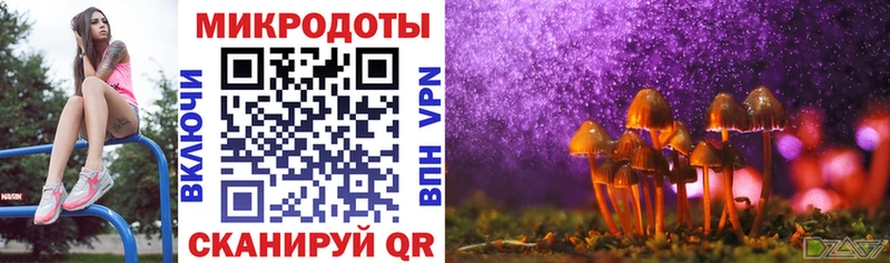 Псилоцибиновые грибы MAGIC MUSHROOMS Малоярославец
